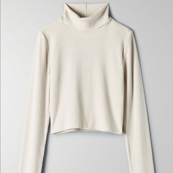 Aritzia Tops - Wilfred free nova turtle neck